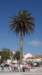 dsc02022_small.jpg