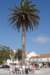 dsc02023_small.jpg