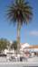 dsc02024_small.jpg