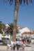 dsc02026_small.jpg