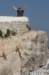 dsc02060_small.jpg